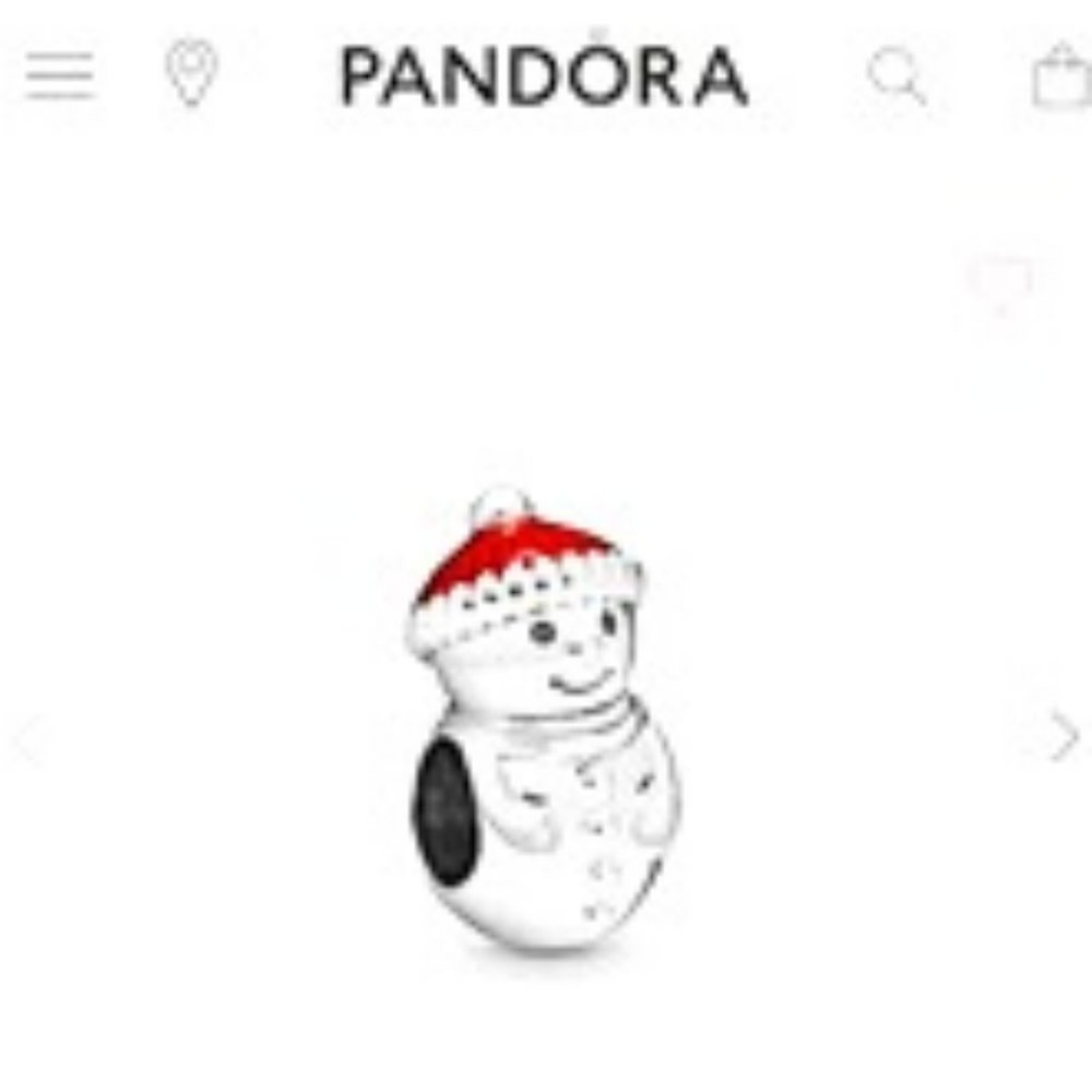 BRAND NEW Pandora Charm!